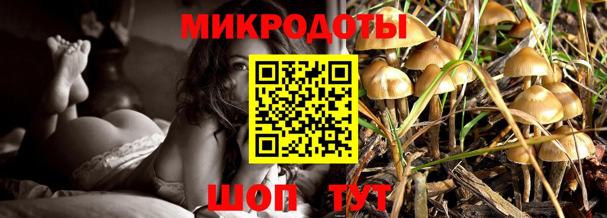 Псилоцибиновые грибы Psilocybine cubensis  сколько стоит  Мценск  Вход с VPN 